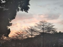 -广东工业大学(大学城校区)