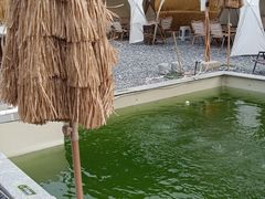 -DGE季风钓虾营地·团建·聚会