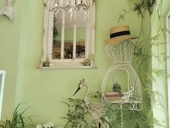 -Jo's Garden