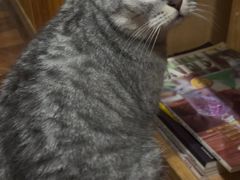 -隅cafe(傅厚岗店)