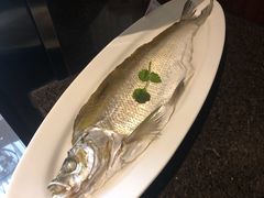 清蒸白水鱼-张福记(五一公园店)