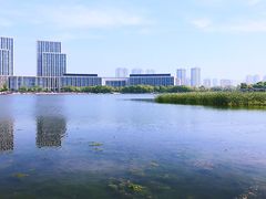 -尚贤河湿地