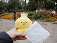 -桂湖森林公园