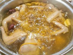 -百利鸽王(紫薇路店)