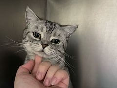 -瑞派康怡24h宠物医院·犬猫医疗中心·微创绝育(瑞景分院)