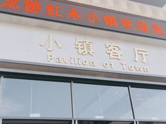 -龙天小镇