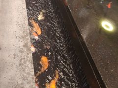 -弘安丽水温泉酒店