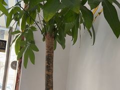 -良拓中医推拿馆