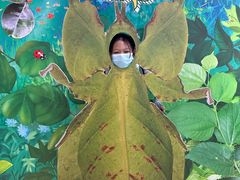 -上海昆虫博物馆