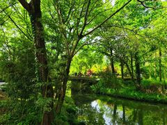 -西溪国家湿地公园