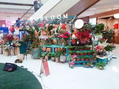 -BoBloom花店(晶耀前滩店)