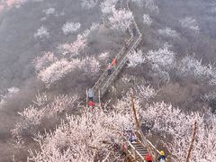 -大岭沟猕猴桃谷风景区