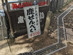 -奈良公园