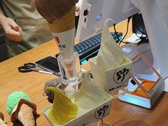 -野人先生Gelato(上海长宁龙之梦店)