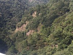 -太湖源风景区