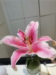 -尚荷国际产后修复中心(中原万达直营店)