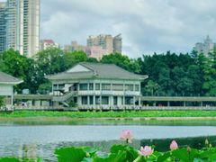 -荔湾湖公园