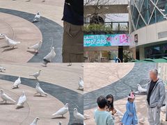 -中粮·祥云小镇