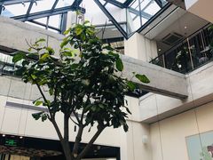 -大树餐厅(红旗街万达店)