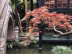 景观位-鱼桥巷·美学川菜