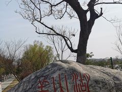 -羊山湖公园