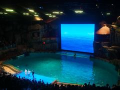 -芜湖新华联大白鲸海洋公园