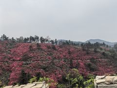 -木兰云雾山