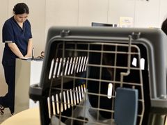 -瑞鹏宠物医院·骨科·猫科·内科(第一中心)