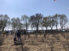 -丁香湖公园