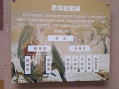 -陕西自然博物馆