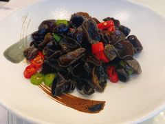 泡椒海木耳-骏莱海鲜鱼港(五角场店)