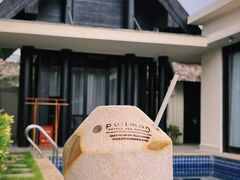 -三亚亚龙湾铂尔曼别墅度假酒店