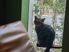 -泉寿司(万科公园店)