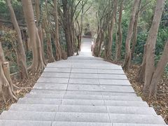 -长洲岛