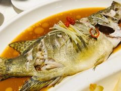 斑鱼-马凯餐厅(长椿街店)