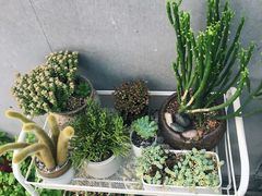 -边渡咖啡烘焙店(昙华林店)