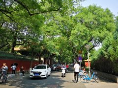 -北京国子监胡同