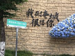 -淹城春秋乐园