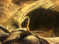 -波塞冬旅游度假区