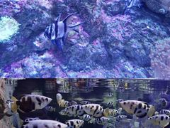 -成都浩海立方海洋公园