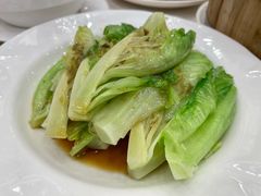 白灼生菜-凤凰楼酒家·粤宴点心(华强北店)