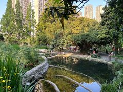 -成都市活水公园