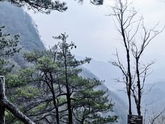 -王顺山国家森林公园