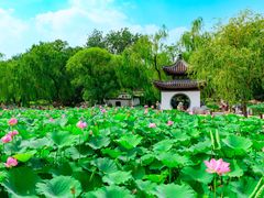 -陶然亭公园