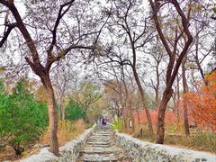 -阳台山自然风景区