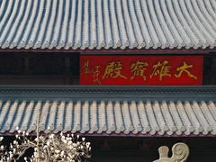 -灵谷景区