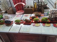 -马陆小张葡萄园农家乐