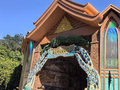 -西双版纳原始森林公园