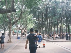 -成都动物园
