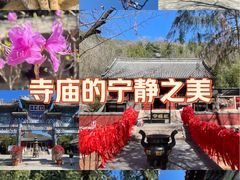 -红螺寺